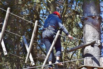 Participants s'amusant sur des parcours d'accrobranche en pleine nature